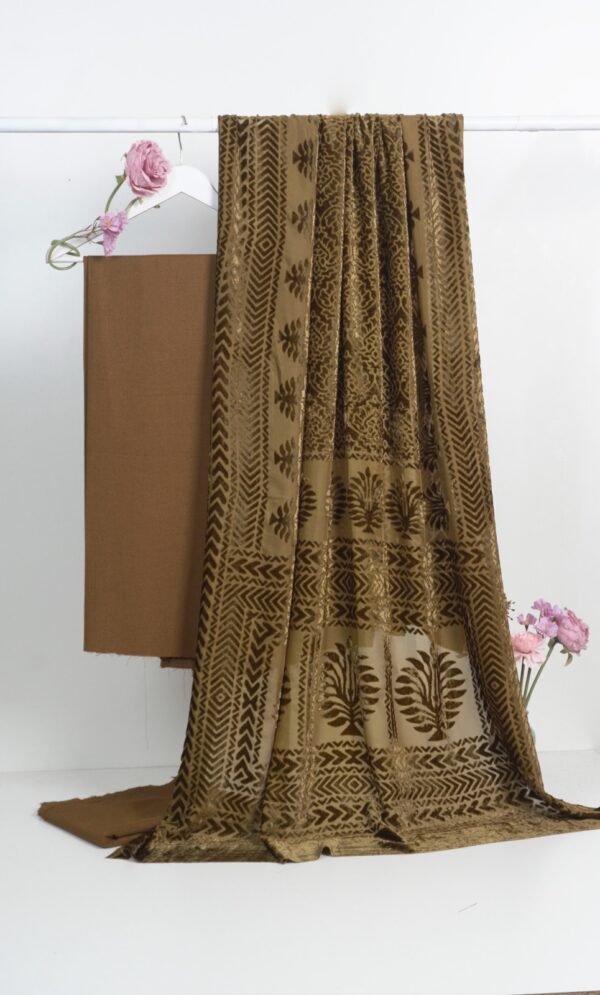 3 piece winter Palachi Shawl with Moon light Dhanak Marina shirt & Trouser (brown)